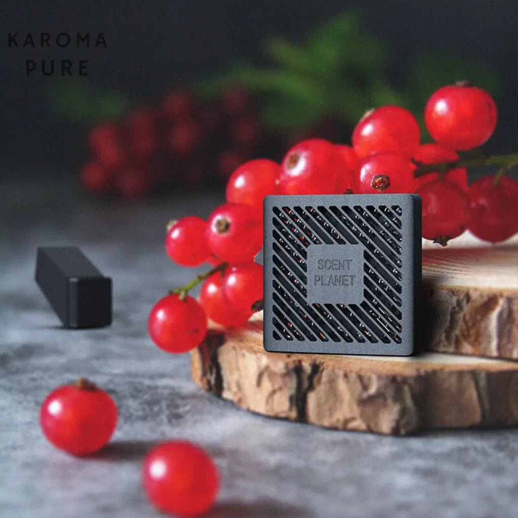 Karoma Pure Tesla Model 3/Y - Karoma -