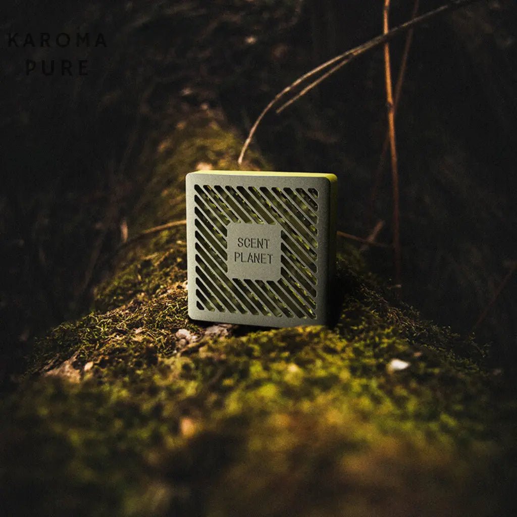 Karoma Pure Tesla Model 3/Y - Karoma -