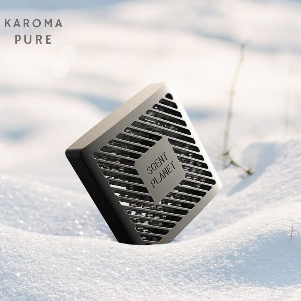 Karoma Pure Tesla Model 3/Y - Karoma - 